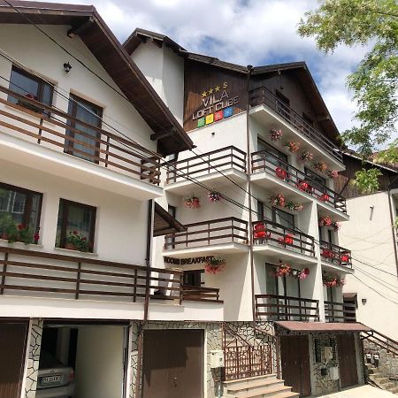 Vila Loft Cube Sinaia Exterior photo