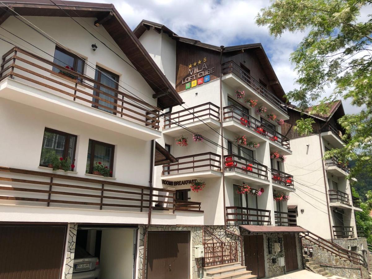 Vila Loft Cube Sinaia Exterior photo